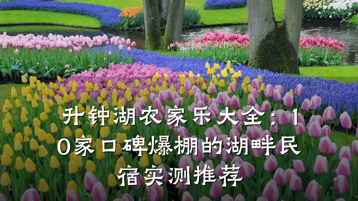 升钟湖农家乐大全:10家口碑爆棚的湖畔民宿实测推荐