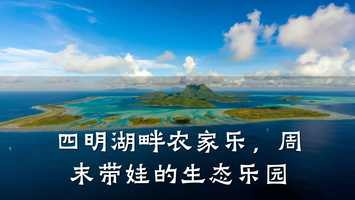 四明湖畔农家乐,周末带娃的生态乐园