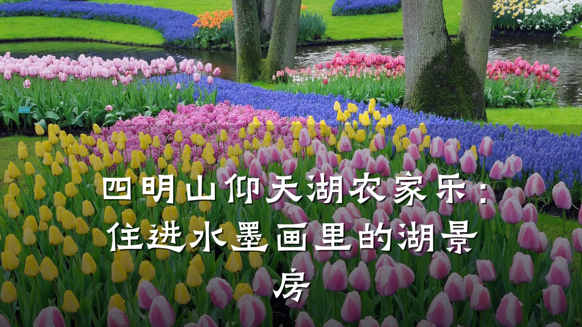 四明山仰天湖农家乐:住进水墨画里的湖景房