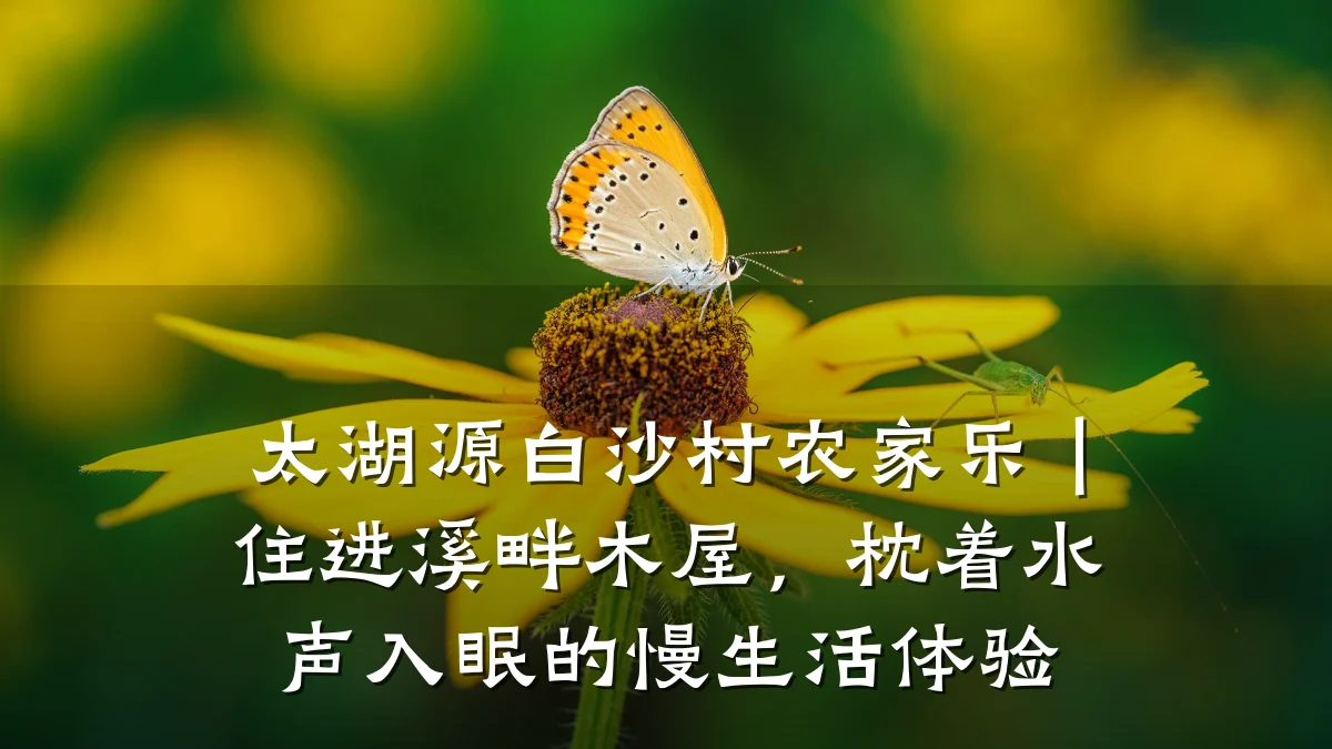 太湖源白沙村农家乐|住进溪畔木屋,枕着水声入眠的慢生活体验