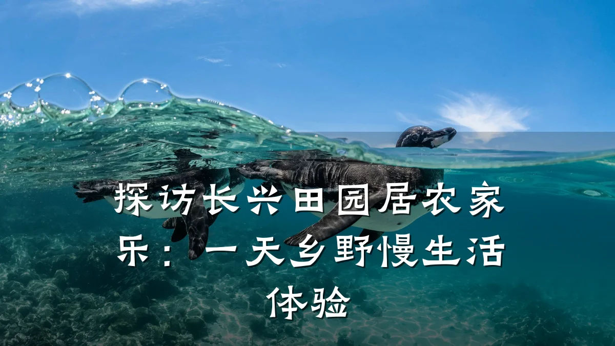 探访长兴田园居农家乐:一天乡野慢生活体验