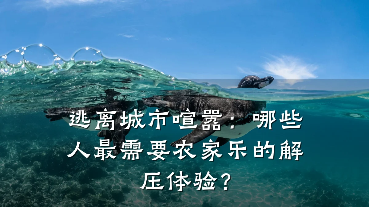 逃离城市喧嚣:哪些人最需要农家乐的解压体验?