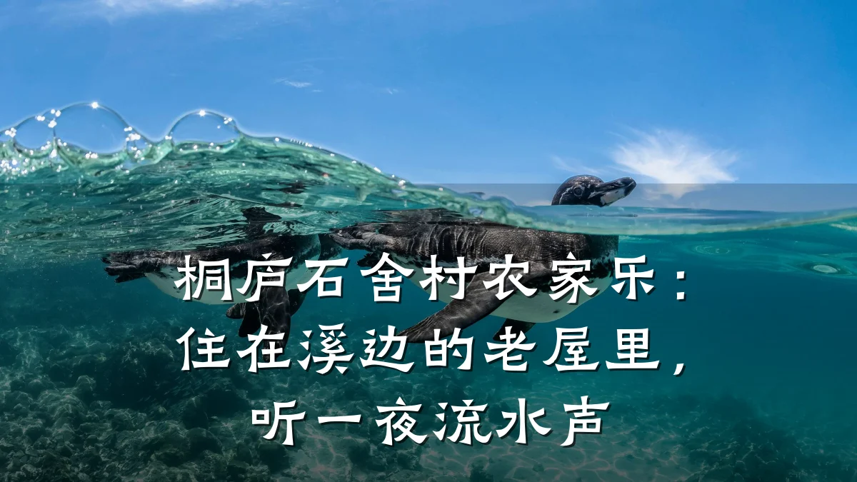 桐庐石舍村农家乐:住在溪边的老屋里,听一夜流水声