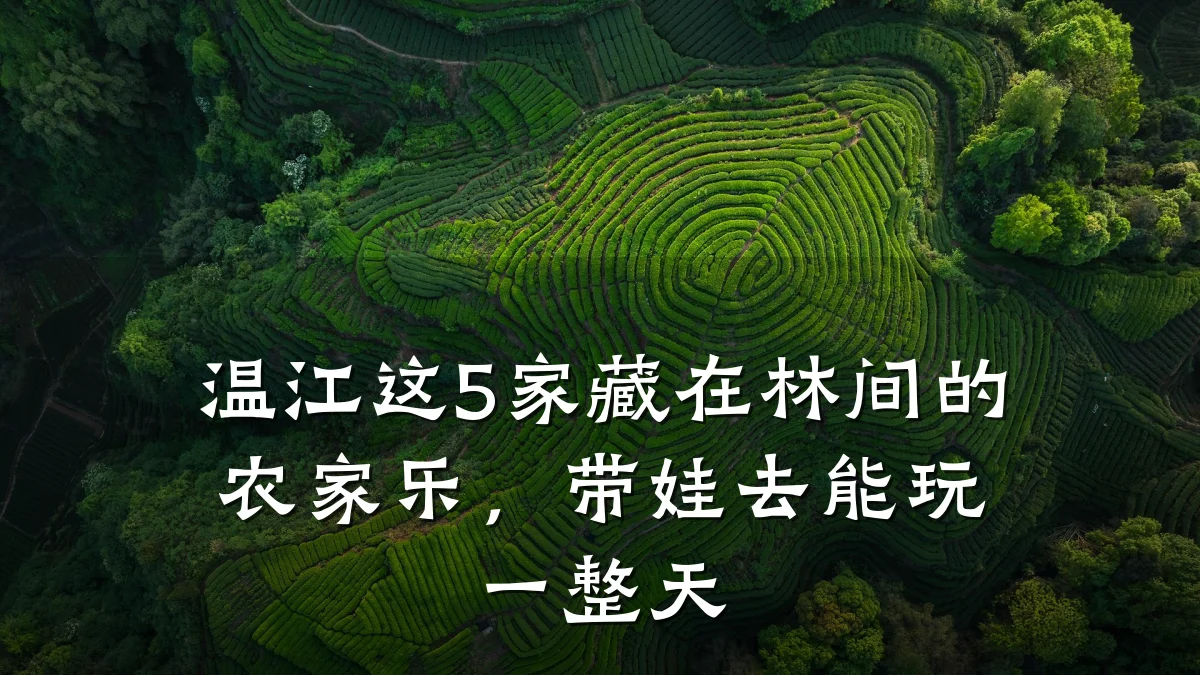 温江这5家藏在林间的农家乐,带娃去能玩一整天
