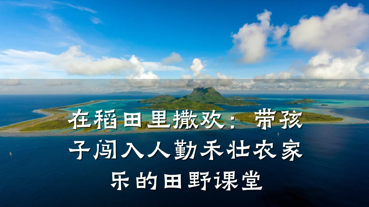 在稻田里撒欢:带孩子闯入人勤禾壮农家乐的田野课堂