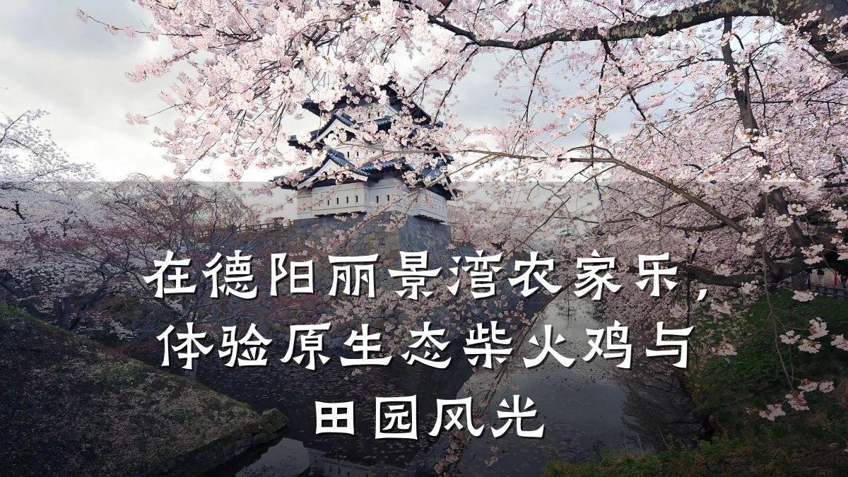 在德阳丽景湾农家乐,体验原生态柴火鸡与田园风光