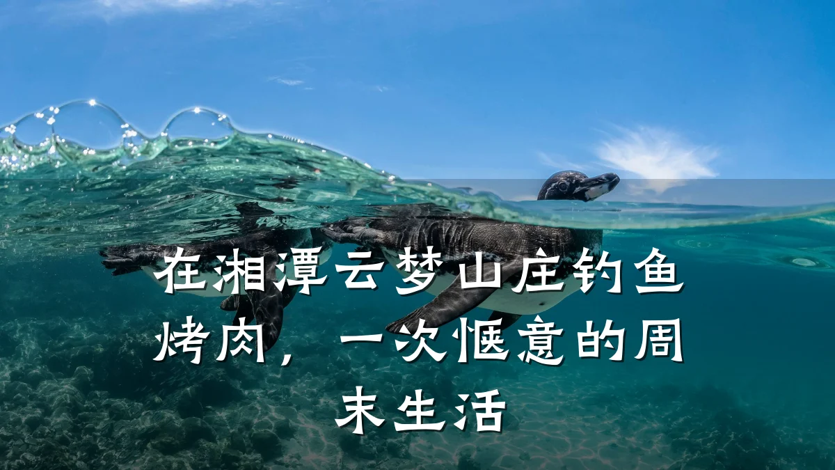 在湘潭云梦山庄钓鱼烤肉,一次惬意的周末生活