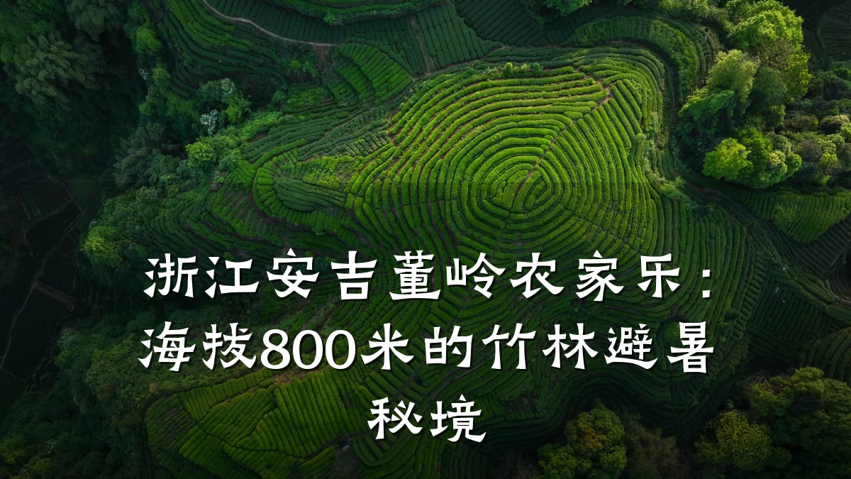 浙江安吉董岭农家乐:海拔800米的竹林避暑秘境