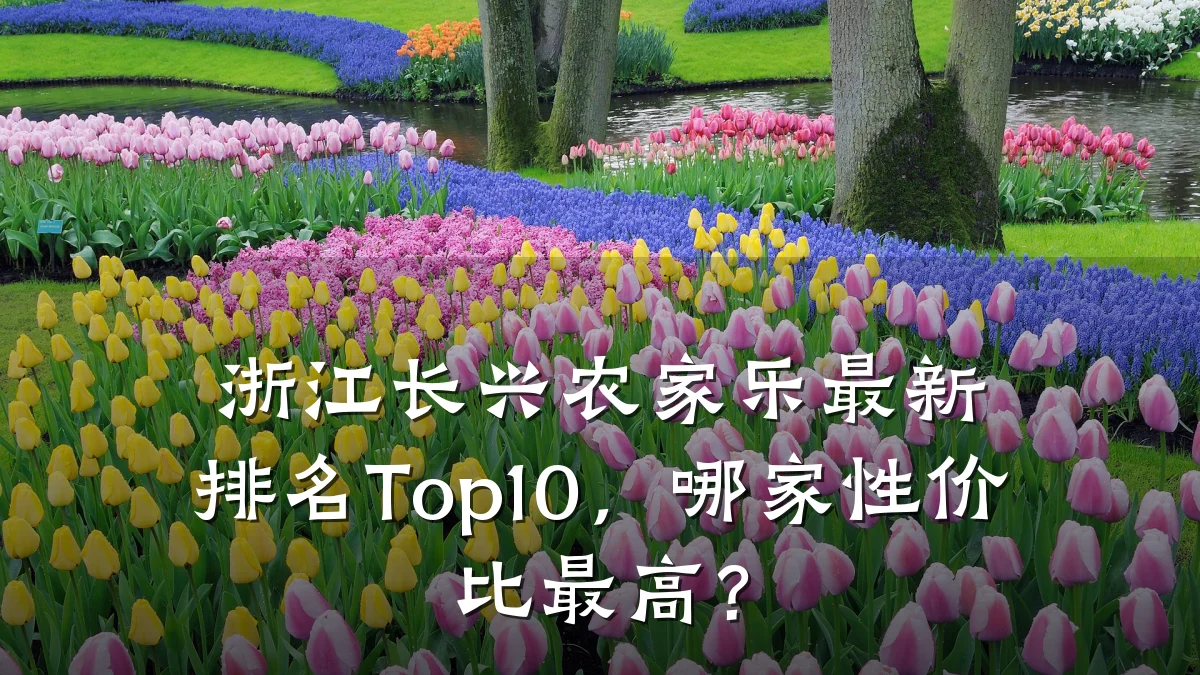 浙江长兴农家乐最新排名Top10,哪家性价比最高?