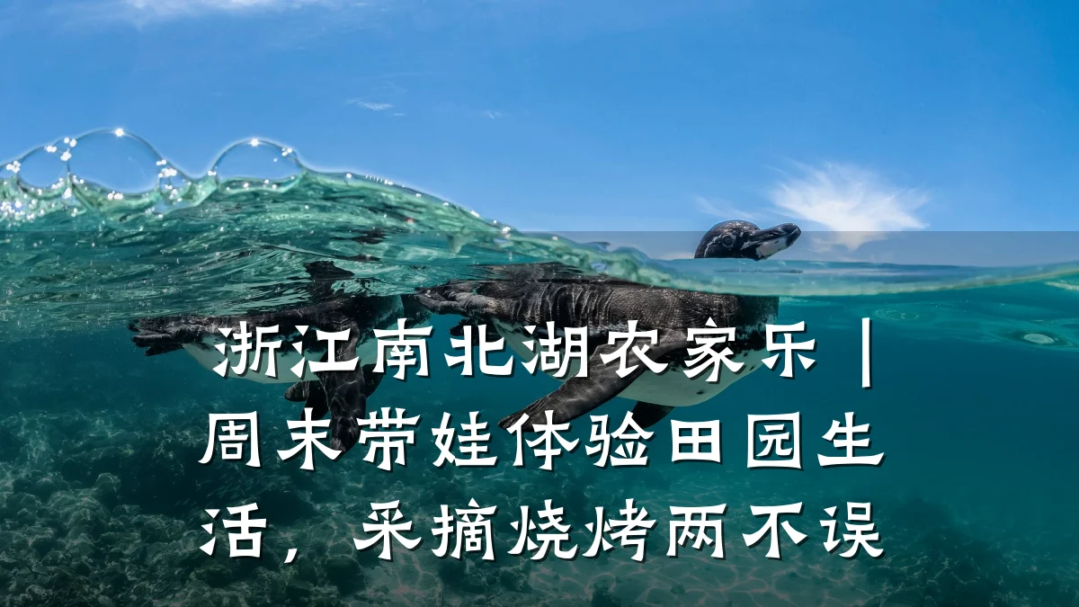 浙江南北湖农家乐|周末带娃体验田园生活,采摘烧烤两不误