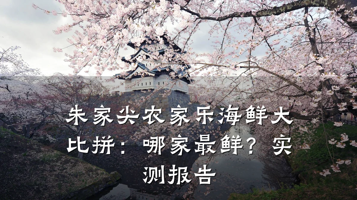 朱家尖农家乐海鲜大比拼:哪家最鲜?实测报告