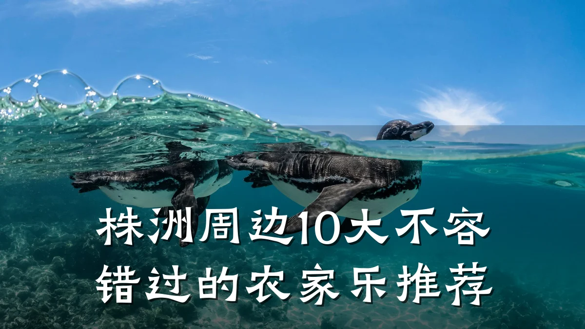 株洲周边10大不容错过的农家乐推荐