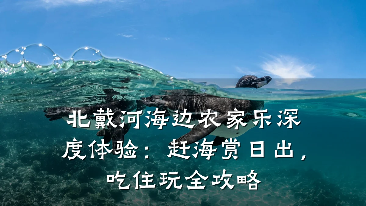 北戴河海边农家乐深度体验：赶海赏日出，吃住玩全攻略