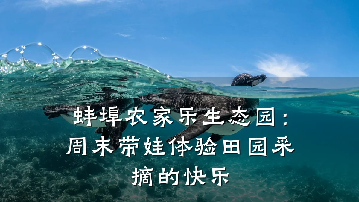 蚌埠农家乐生态园:周末带娃体验田园采摘的快乐