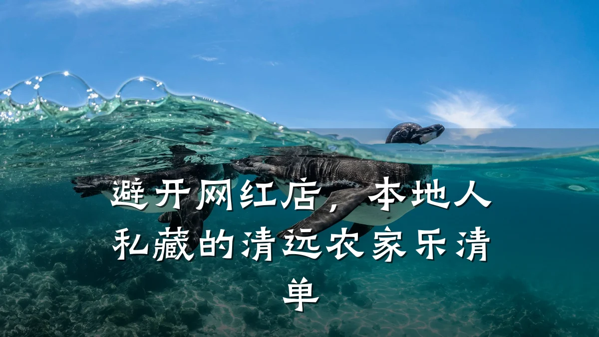 避开网红店,本地人私藏的清远农家乐清单