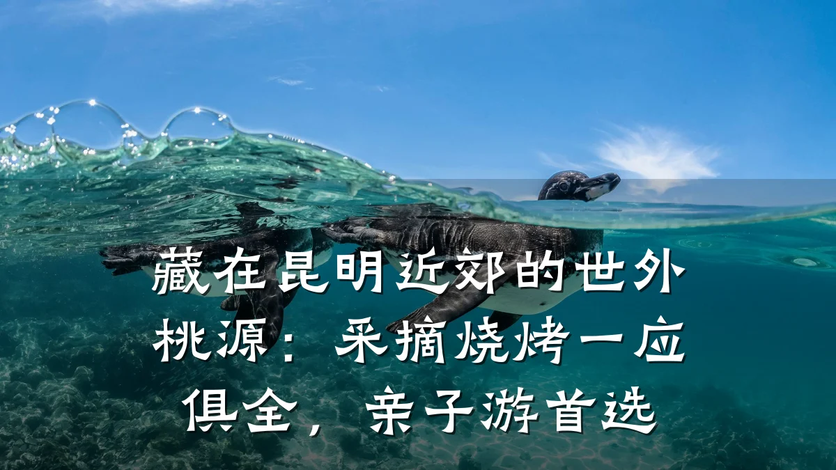 藏在昆明近郊的世外桃源:采摘烧烤一应俱全,亲子游首选