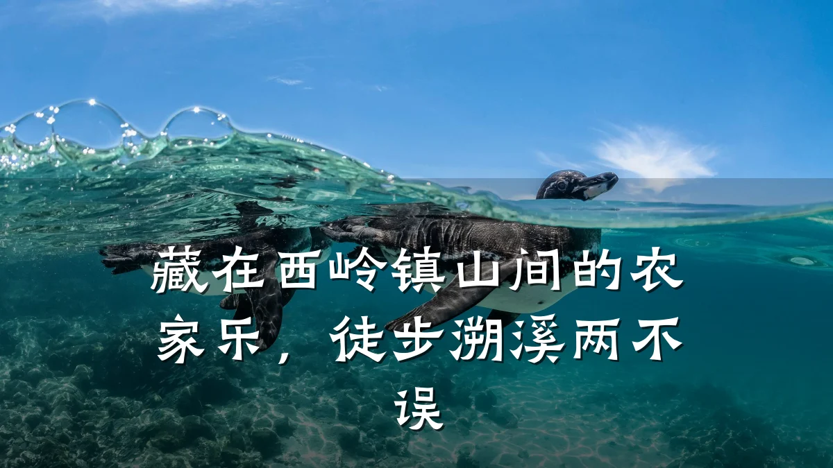 藏在西岭镇山间的农家乐,徒步溯溪两不误
