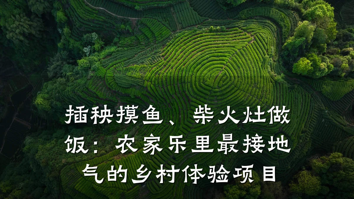插秧摸鱼、柴火灶做饭:农家乐里最接地气的乡村体验项目
