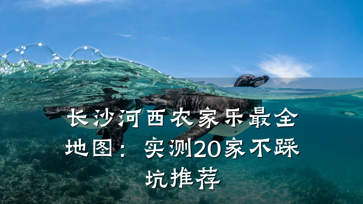 长沙河西农家乐最全地图:实测20家不踩坑推荐