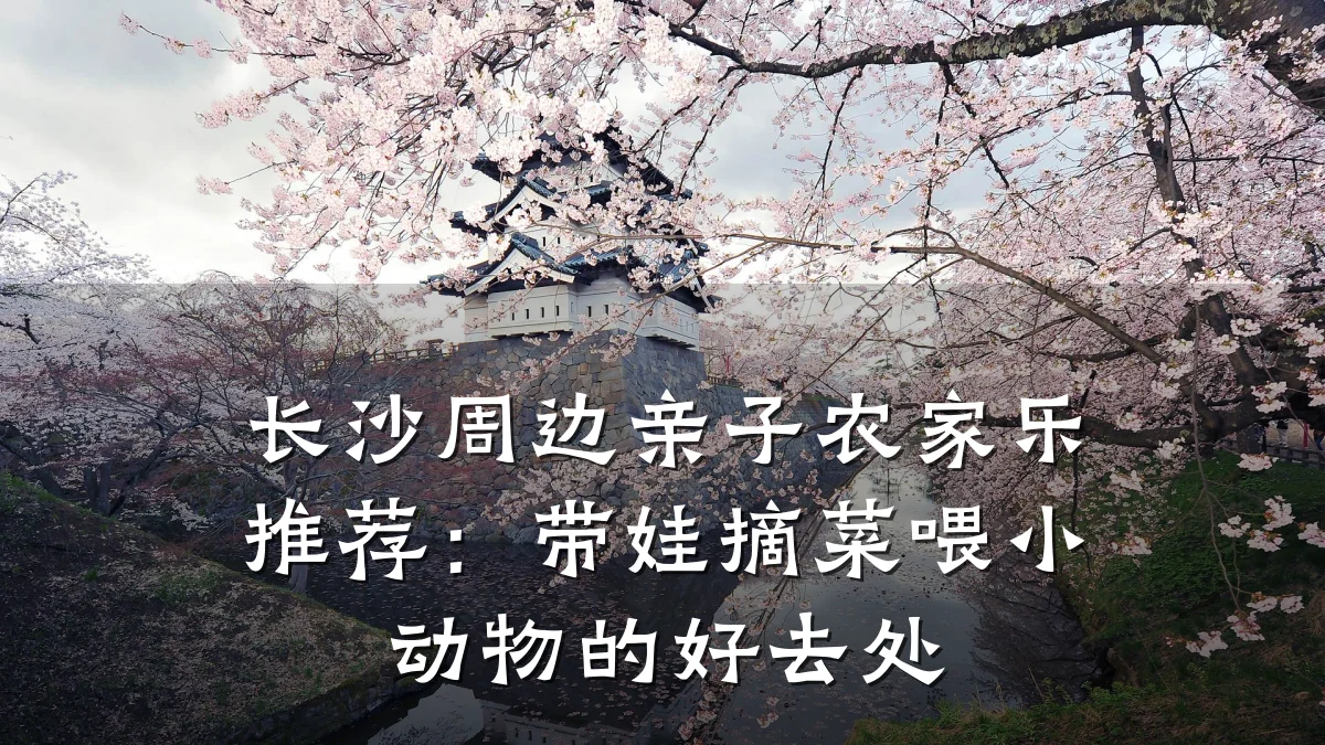 长沙周边亲子农家乐推荐:带娃摘菜喂小动物的好去处