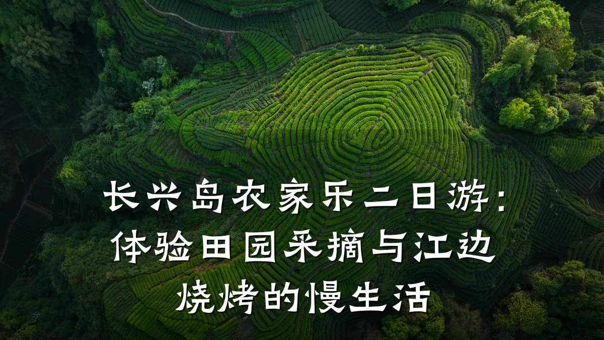 长兴岛农家乐二日游:体验田园采摘与江边烧烤的慢生活
