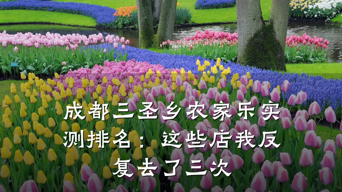 成都三圣乡农家乐实测排名:这些店我反复去了三次