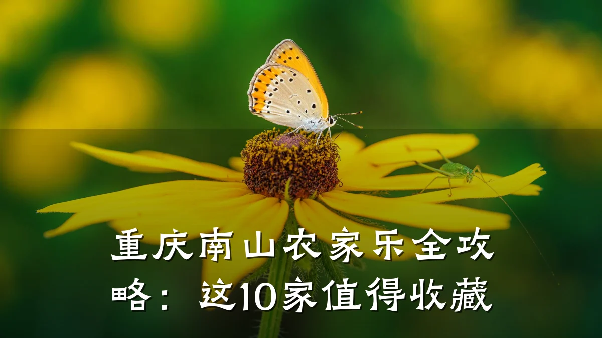 重庆南山农家乐全攻略:这10家值得收藏