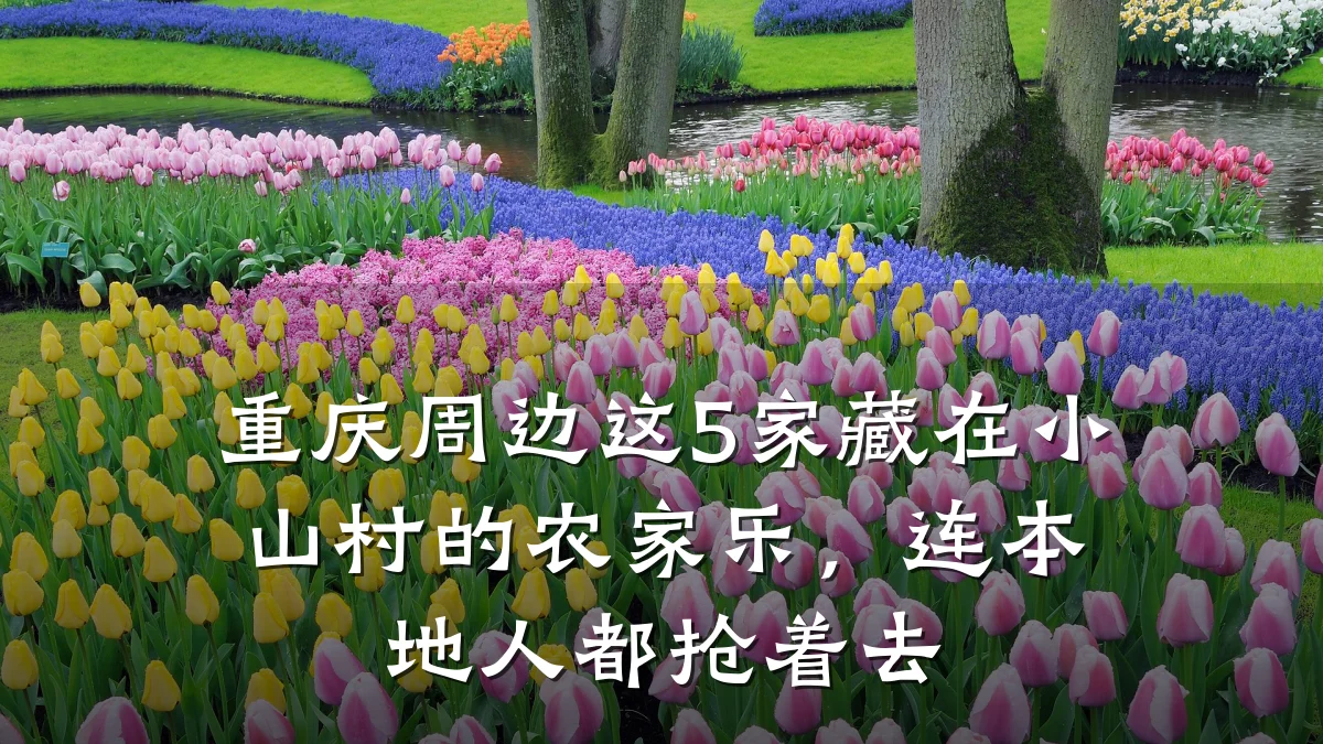 重庆周边这5家藏在小山村的农家乐,连本地人都抢着去