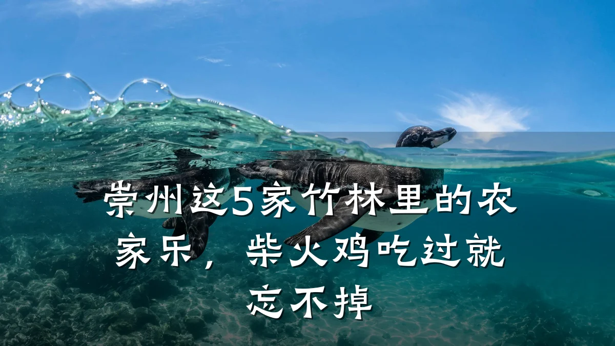 崇州这5家竹林里的农家乐，柴火鸡吃过就忘不掉