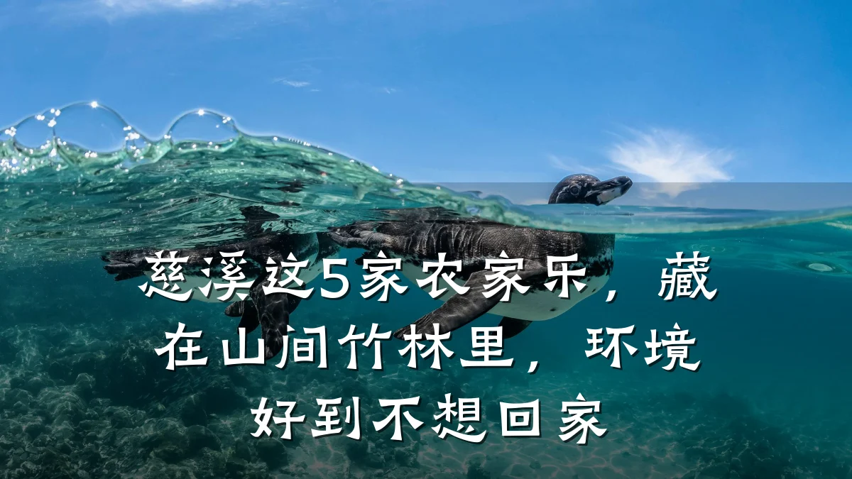 慈溪这5家农家乐,藏在山间竹林里,环境好到不想回家
