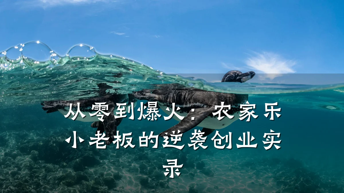从零到爆火:农家乐小老板的逆袭创业实录