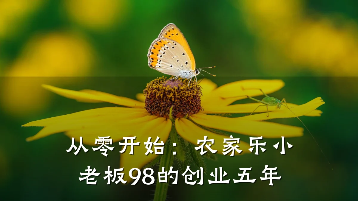 从零开始:农家乐小老板98的创业五年