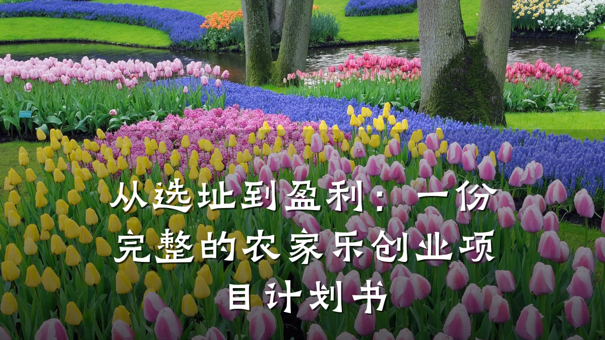 从选址到盈利:一份完整的农家乐创业项目计划书