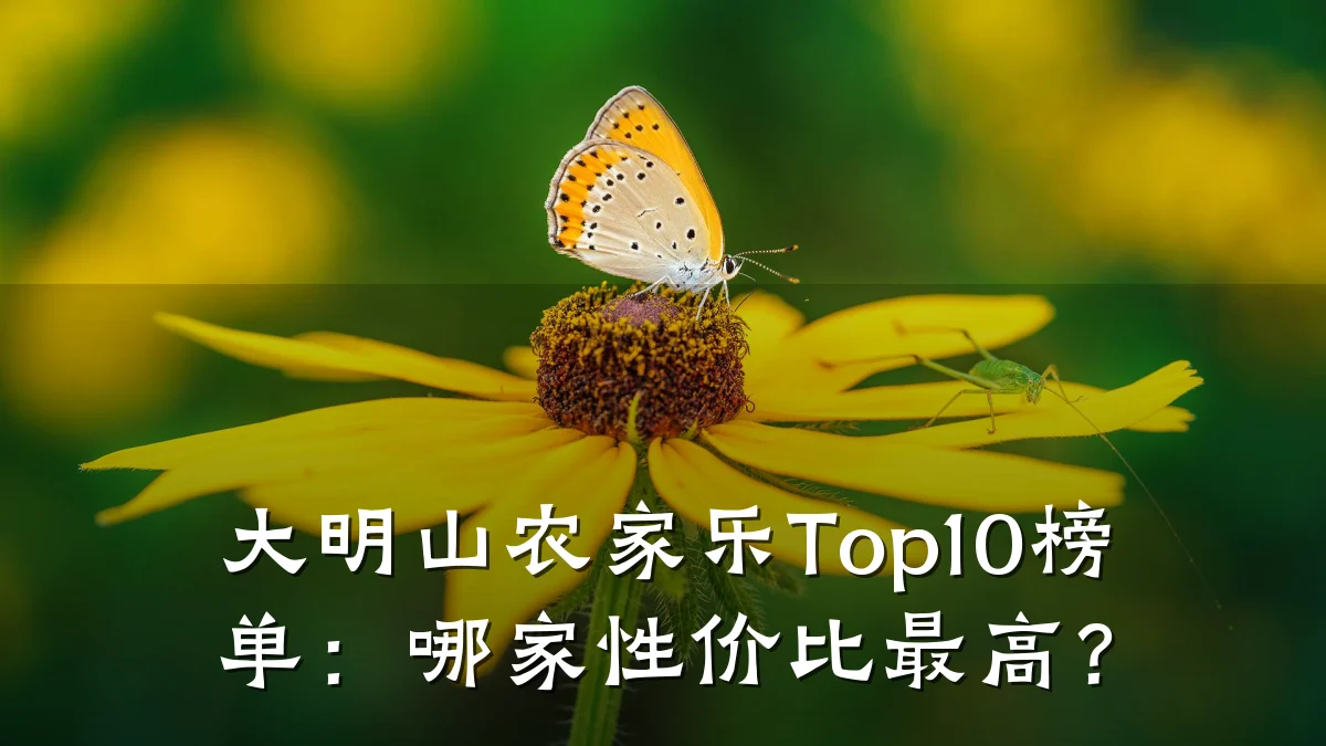 大明山农家乐Top10榜单:哪家性价比最高?