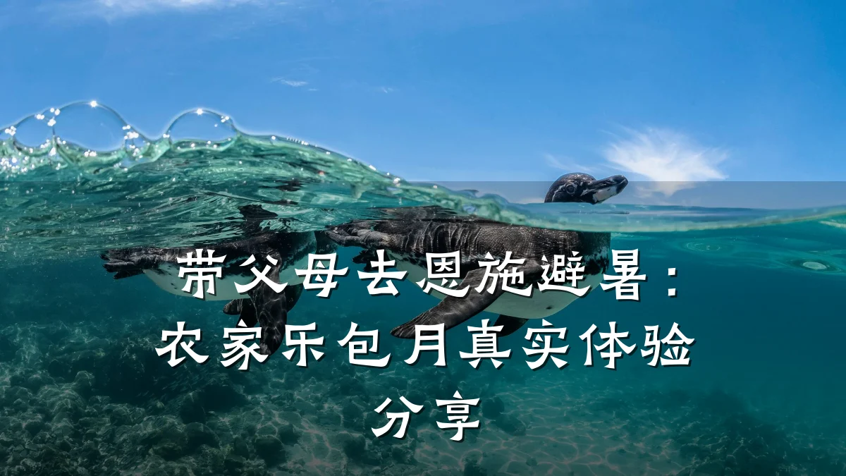 带父母去恩施避暑:农家乐包月真实体验分享