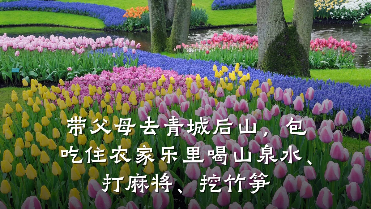 带父母去青城后山,包吃住农家乐里喝山泉水、打麻将、挖竹笋