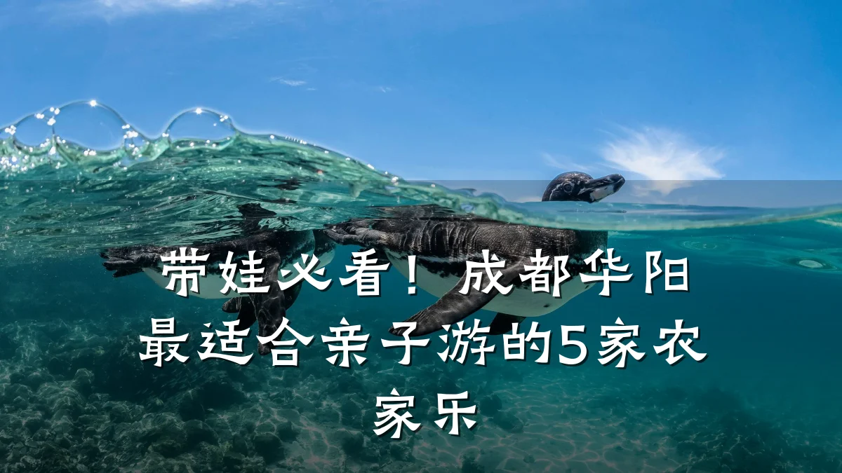 带娃必看!成都华阳最适合亲子游的5家农家乐