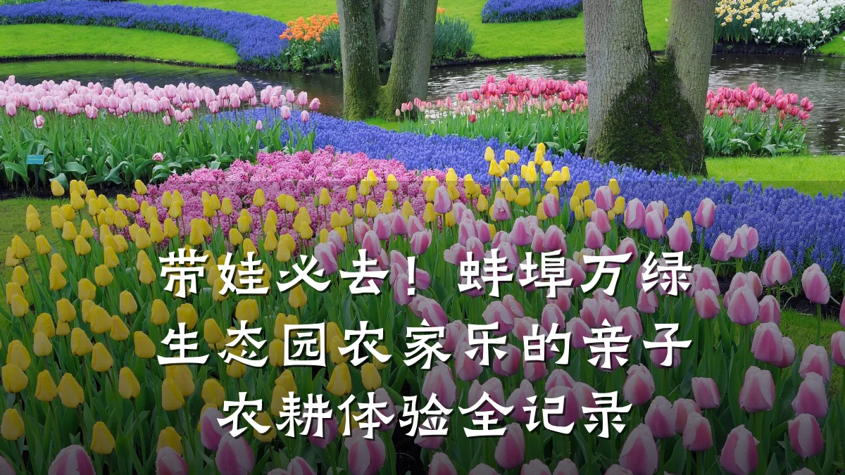 带娃必去!蚌埠万绿生态园农家乐的亲子农耕体验全记录