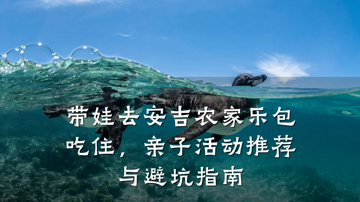 带娃去安吉农家乐包吃住,亲子活动推荐与避坑指南