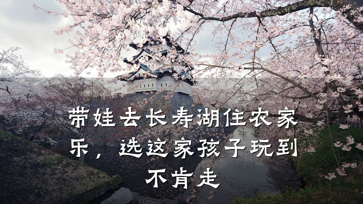 带娃去长寿湖住农家乐，选这家孩子玩到不肯走
