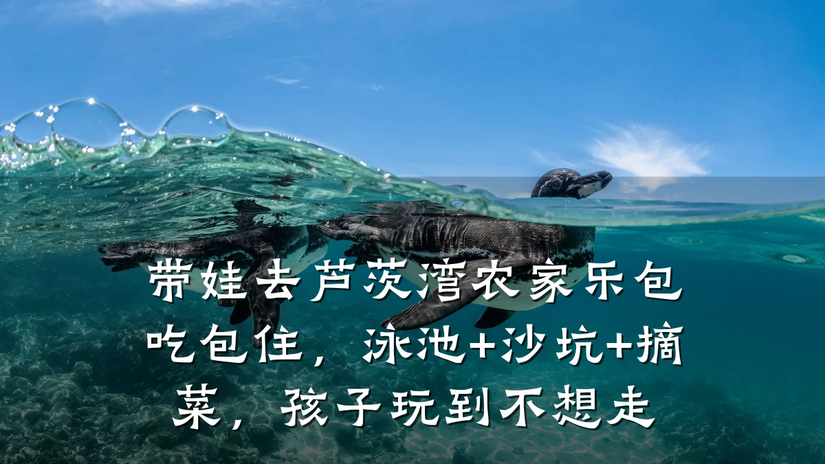 带娃去芦茨湾农家乐包吃包住,泳池+沙坑+摘菜,孩子玩到不想走