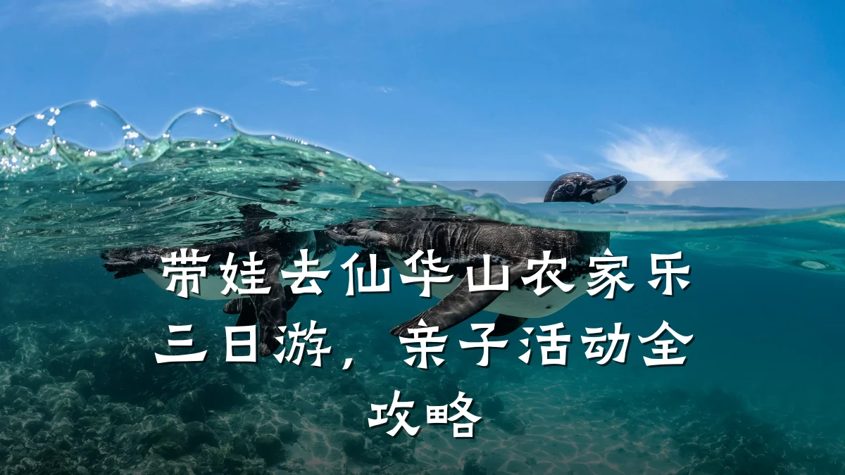 带娃去仙华山农家乐三日游,亲子活动全攻略