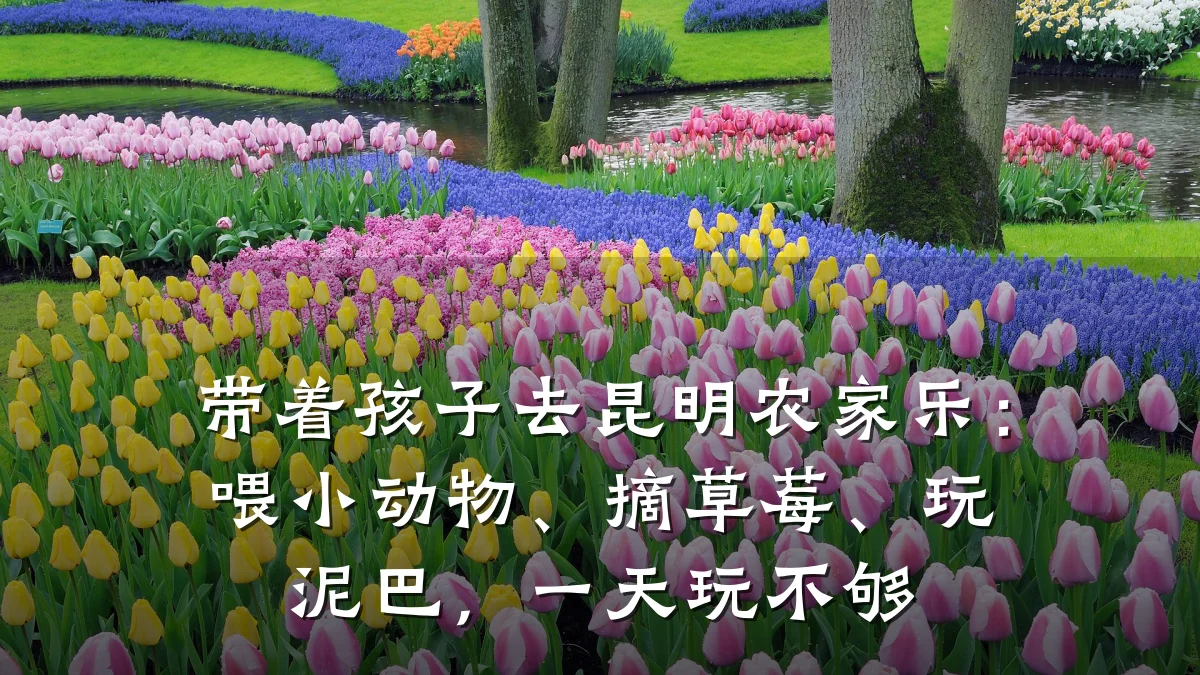 带着孩子去昆明农家乐：喂小动物、摘草莓、玩泥巴，一天玩不够
