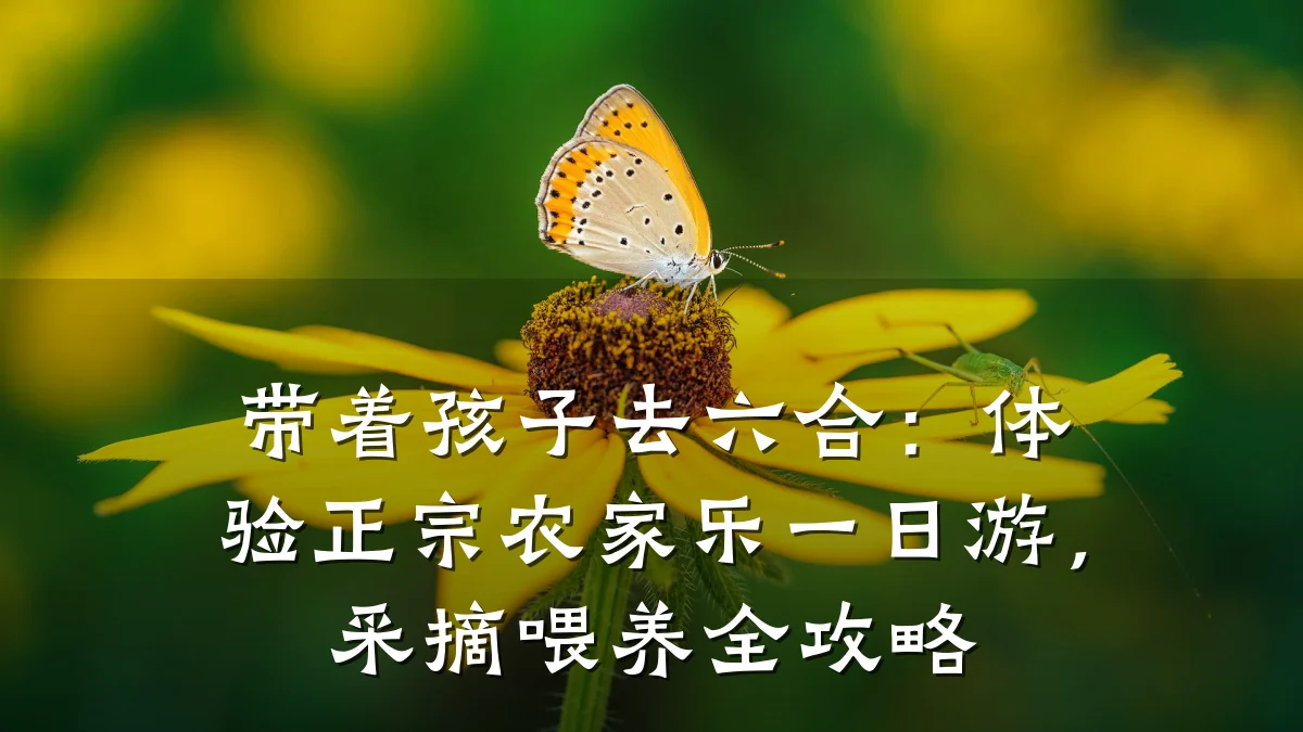带着孩子去六合:体验正宗农家乐一日游,采摘喂养全攻略