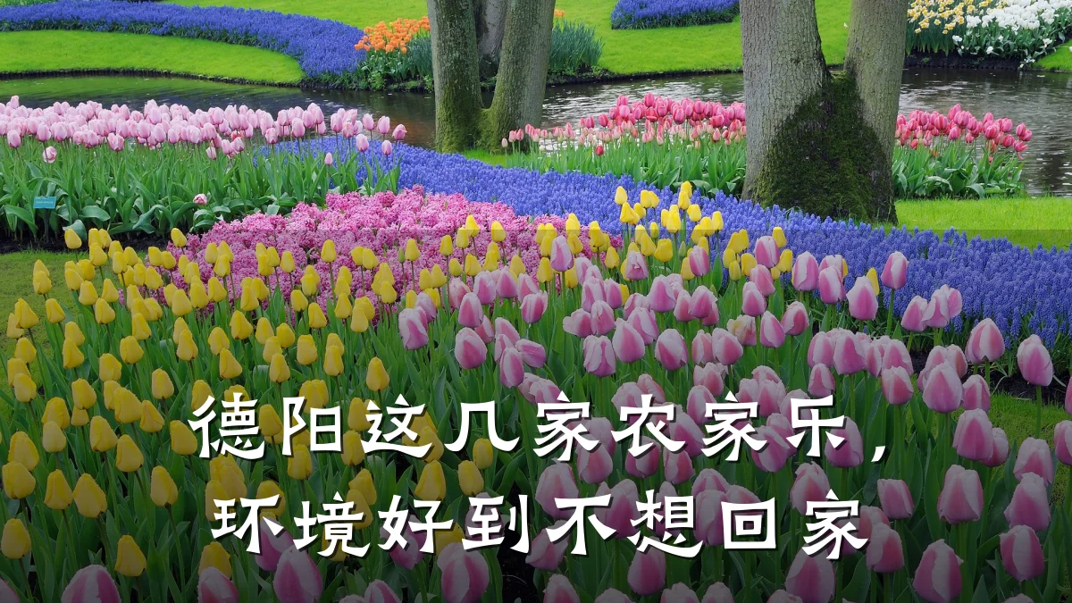 德阳这几家农家乐,环境好到不想回家