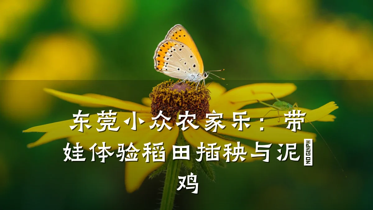 东莞小众农家乐:带娃体验稻田插秧与泥焗鸡