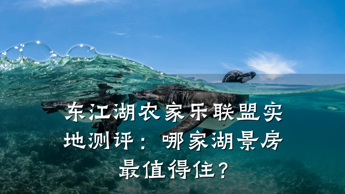 东江湖农家乐联盟实地测评:哪家湖景房最值得住?