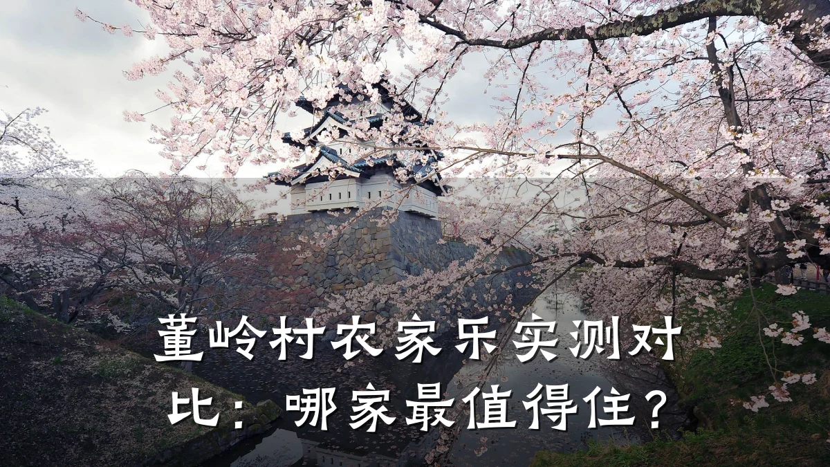 董岭村农家乐实测对比:哪家最值得住?