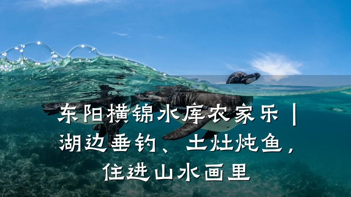 东阳横锦水库农家乐|湖边垂钓、土灶炖鱼,住进山水画里