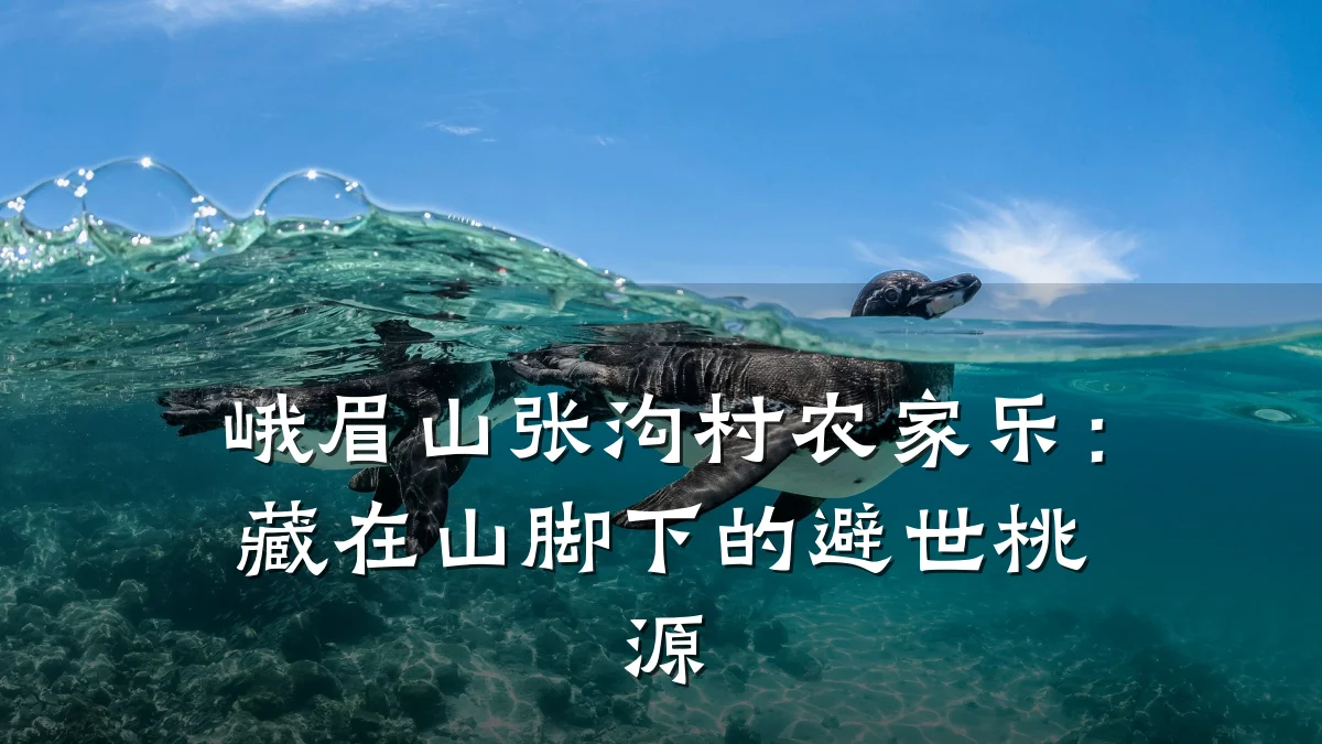 峨眉山张沟村农家乐:藏在山脚下的避世桃源